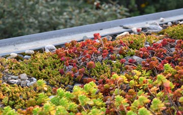 the cost of Lower Gabwell green roof installation