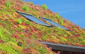 Lower Gabwell living roof systems